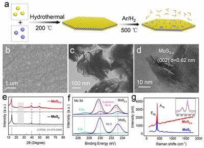 Three-Dimensional Carbon-Supported MoS2 With Sulfur Defects as Oxygen Electrodes for Li-O2 Batteries